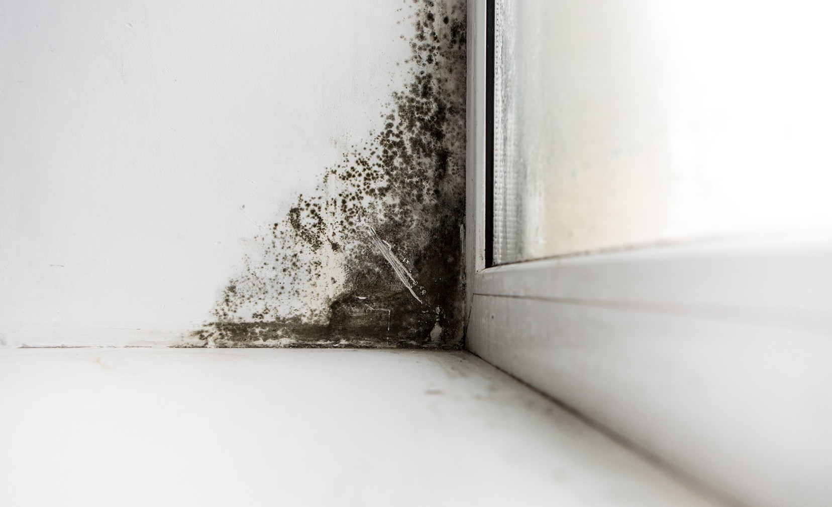 The Issue with Mold Part III