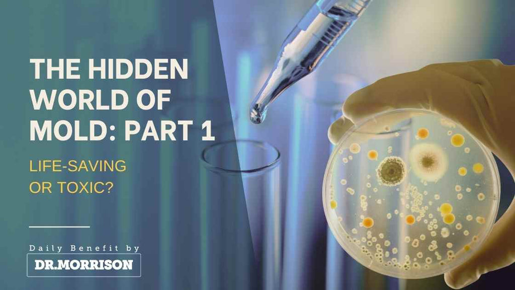 The Hidden World of Mold Part 1: Life-Saving or Toxic?