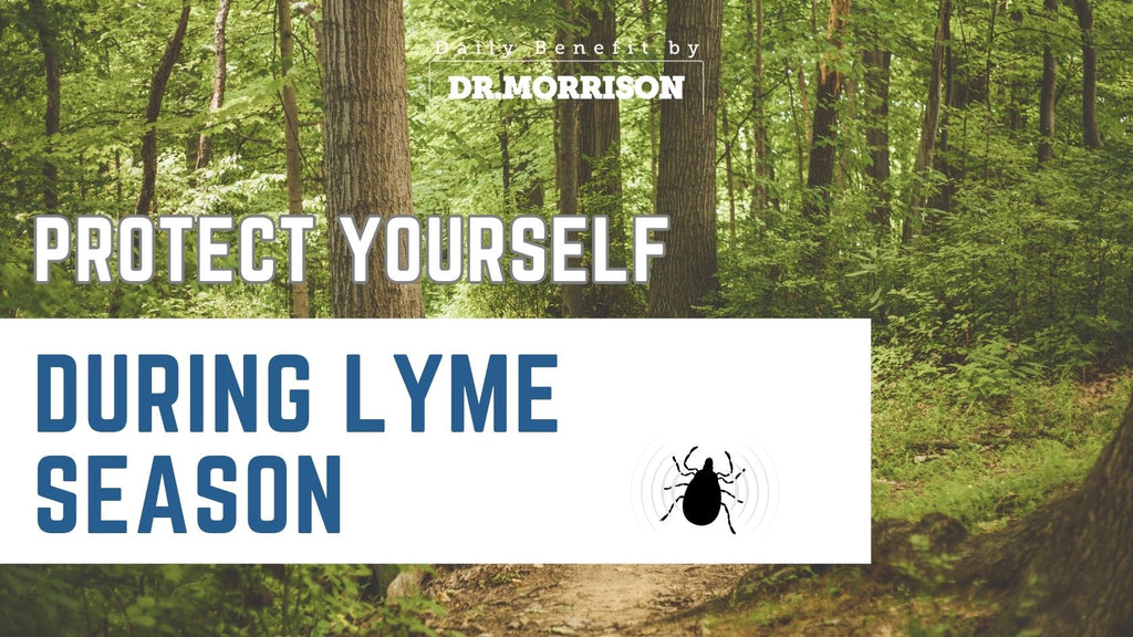 Protect Yourself During Lyme Season