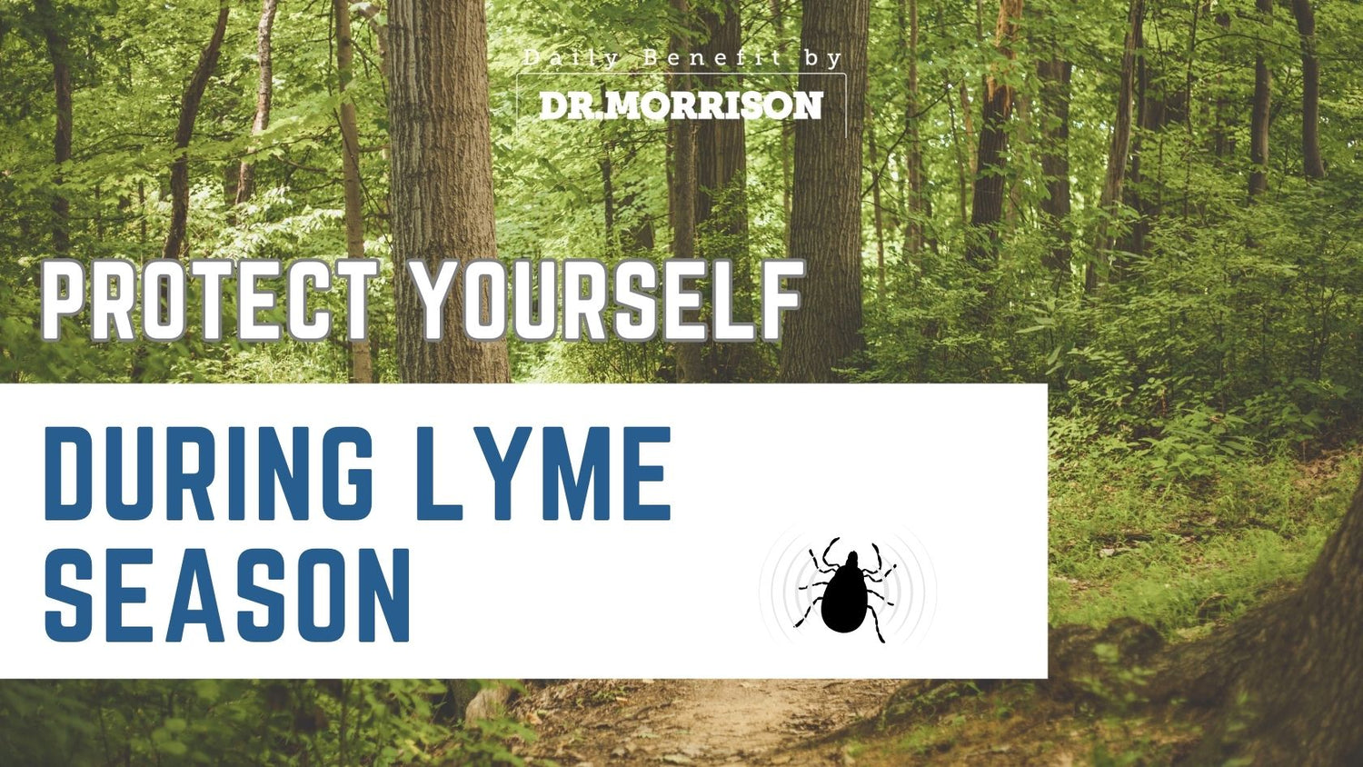 Protect Yourself During Lyme Season