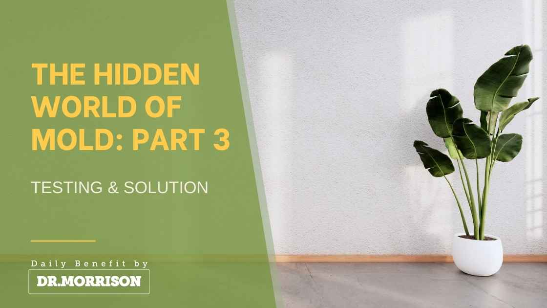 The Hidden World of Mold Part 3: Testing & Solutions The Hidden World of Mold Part 3: Testing & Solutions