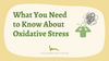 What You Need to Know About Oxidative Stress