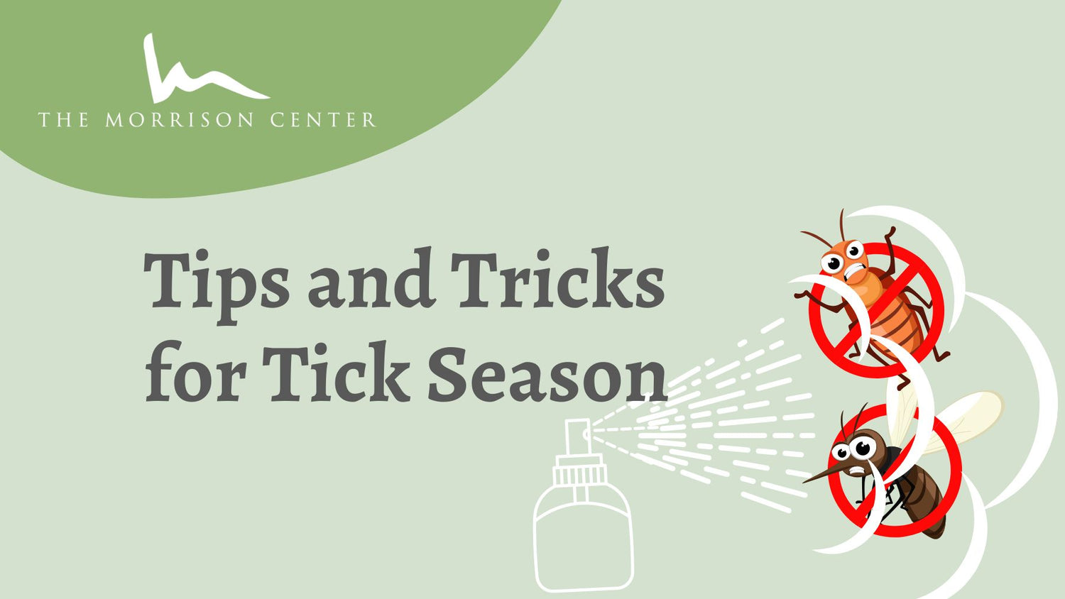 Tips and Tricks for Tick Season - DailyBenefit.com