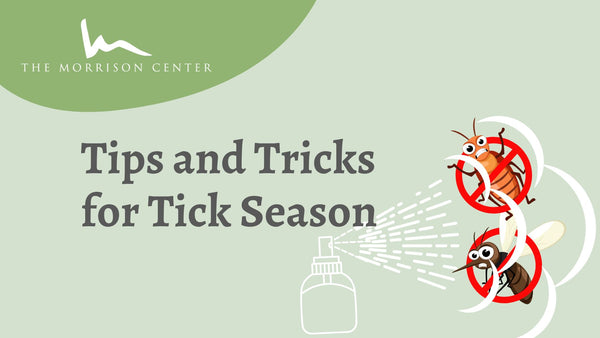 Tips and Tricks for Tick Season