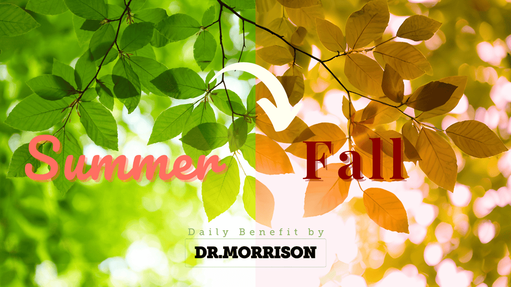 Seasonal Wellness: How to Transition from Summer to Fall with Ease