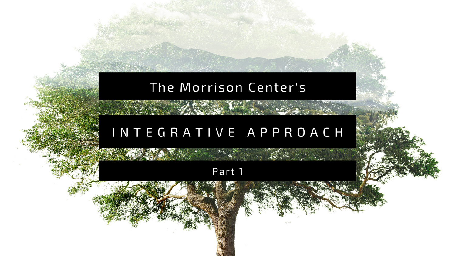 TMC’s Integrative Approach Part 1