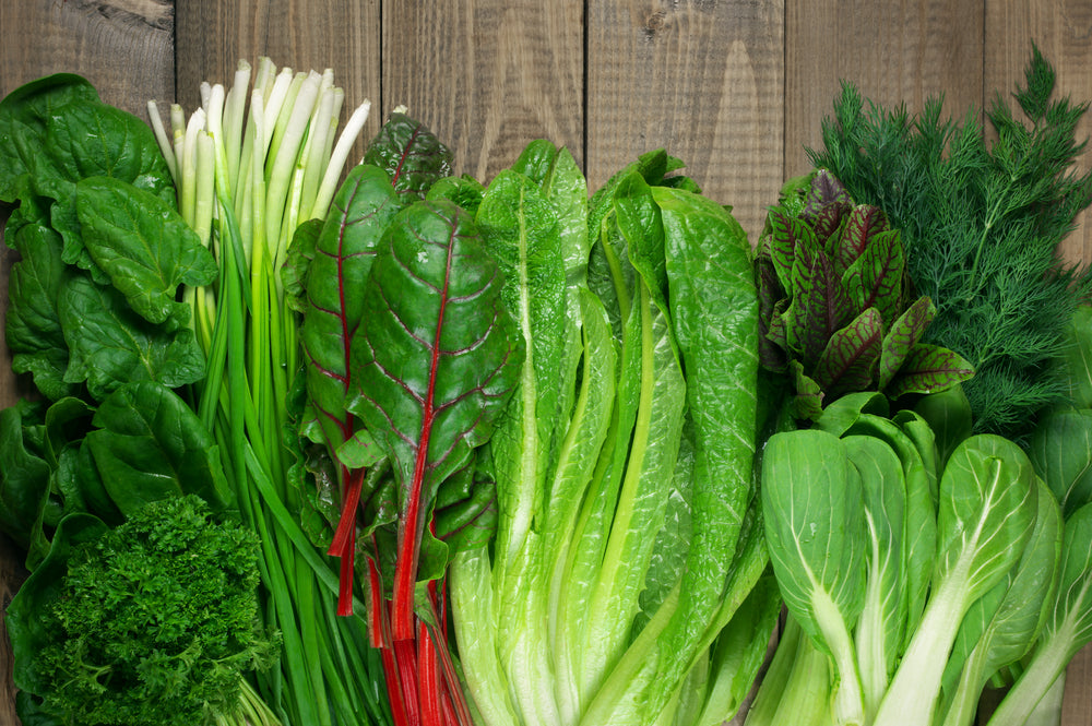 Why You Need Solid Nutrition Now More Than Ever