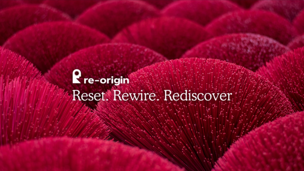 What is re-origin?