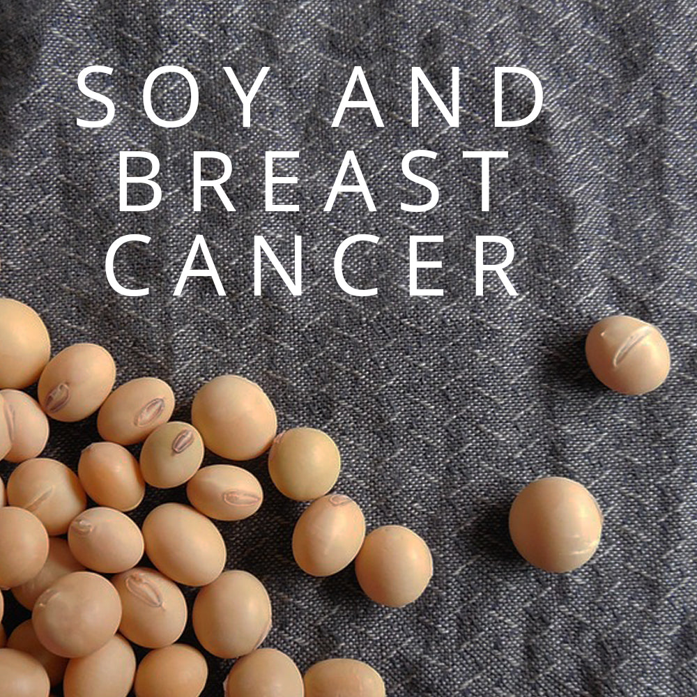 Breast Cancer Risk: Can Soy Help?