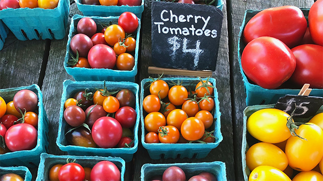 To Nightshade or Not-To-Nightshade: That is the Question