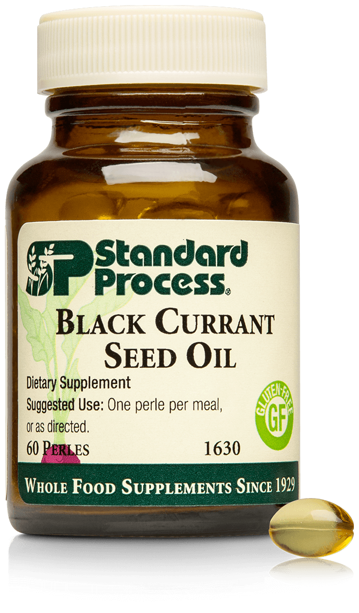 Black Currant Seed Oil  Standard Process   