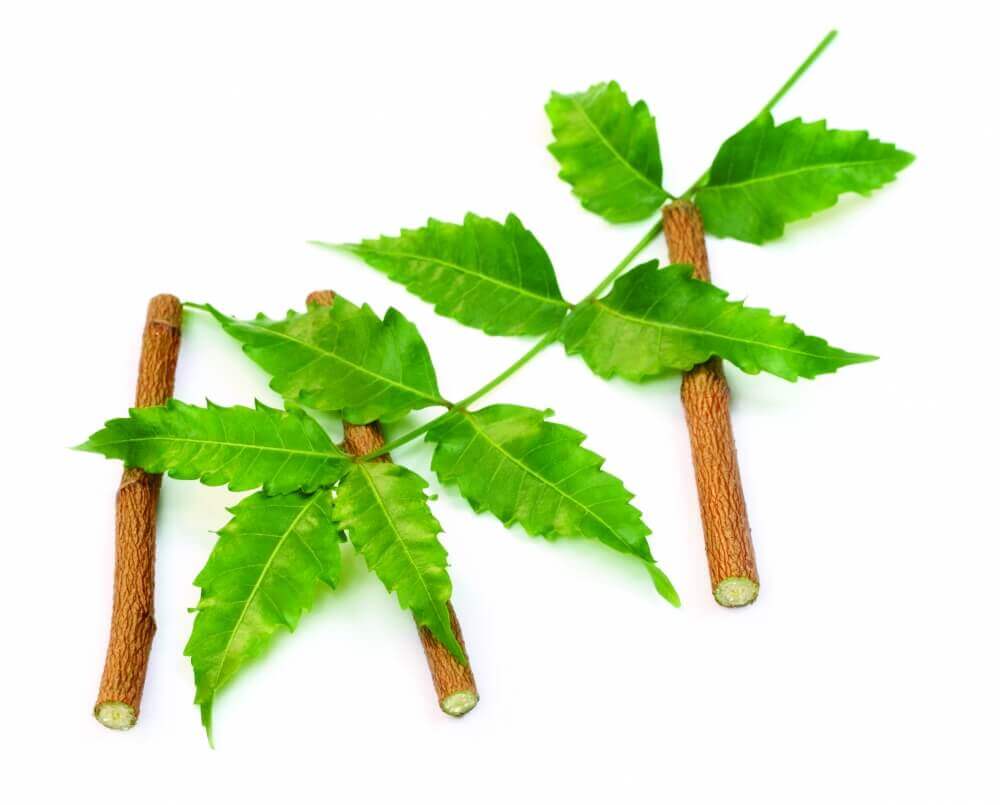 Neem Plus Other Supplements Ayush Herbs   