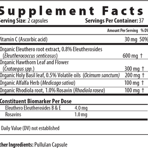 Adrenal Px Balance Other Supplements Restorative Formulations   